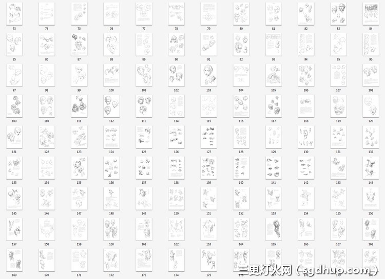 《伯里曼人体结构绘画教学》最新中文PDF电子版下载