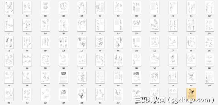 《伯里曼人体结构绘画教学》最新中文PDF电子版下载
