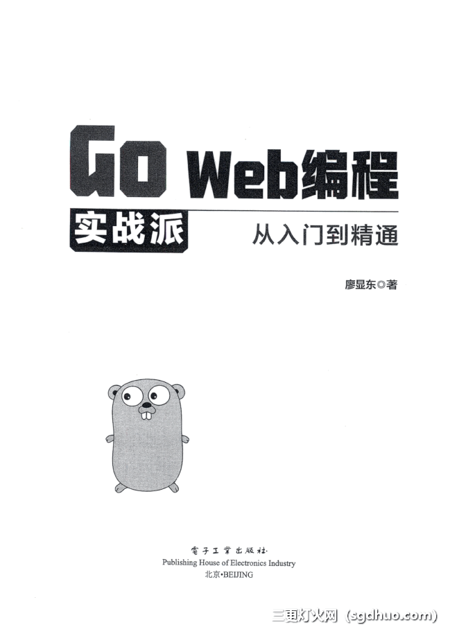 Go Web编程实战派PDF电子书