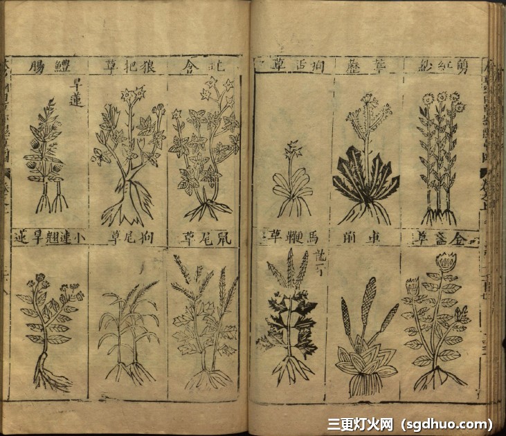 药圣李时珍《本草纲目》原版全本25卷古籍