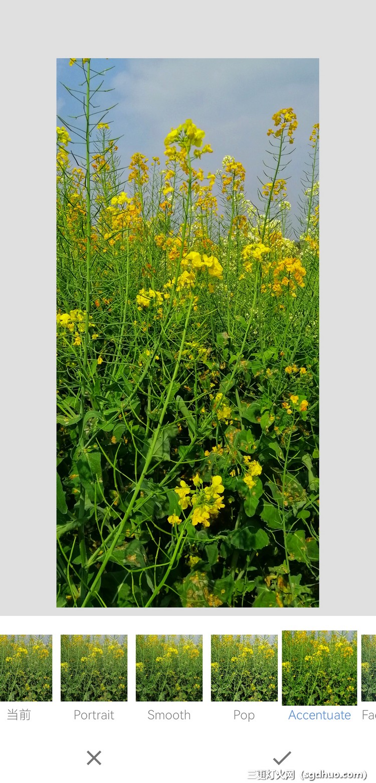 小绿叶snapseed手机APP修图软件
