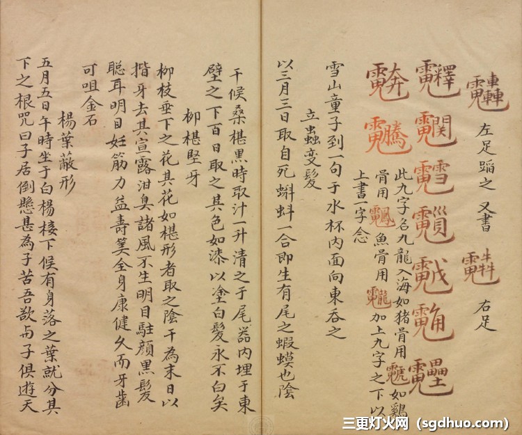 《祝由科(秘诀奇书)》五册十三科全本