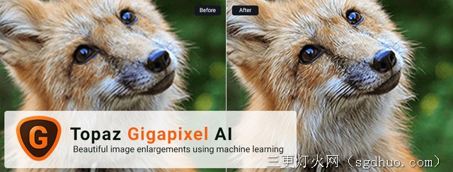 Topaz Gigapixel AI 图片无损放大软件